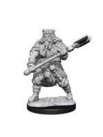 WizKids WK90224 DND Human Male Barbarian WV14