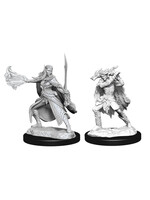 WizKids WK90320 DND Winter & Spring Eladrin WV15