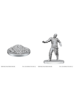 WizKids WK90855 DND Rot Grubs & Rot Grub Victim WV28