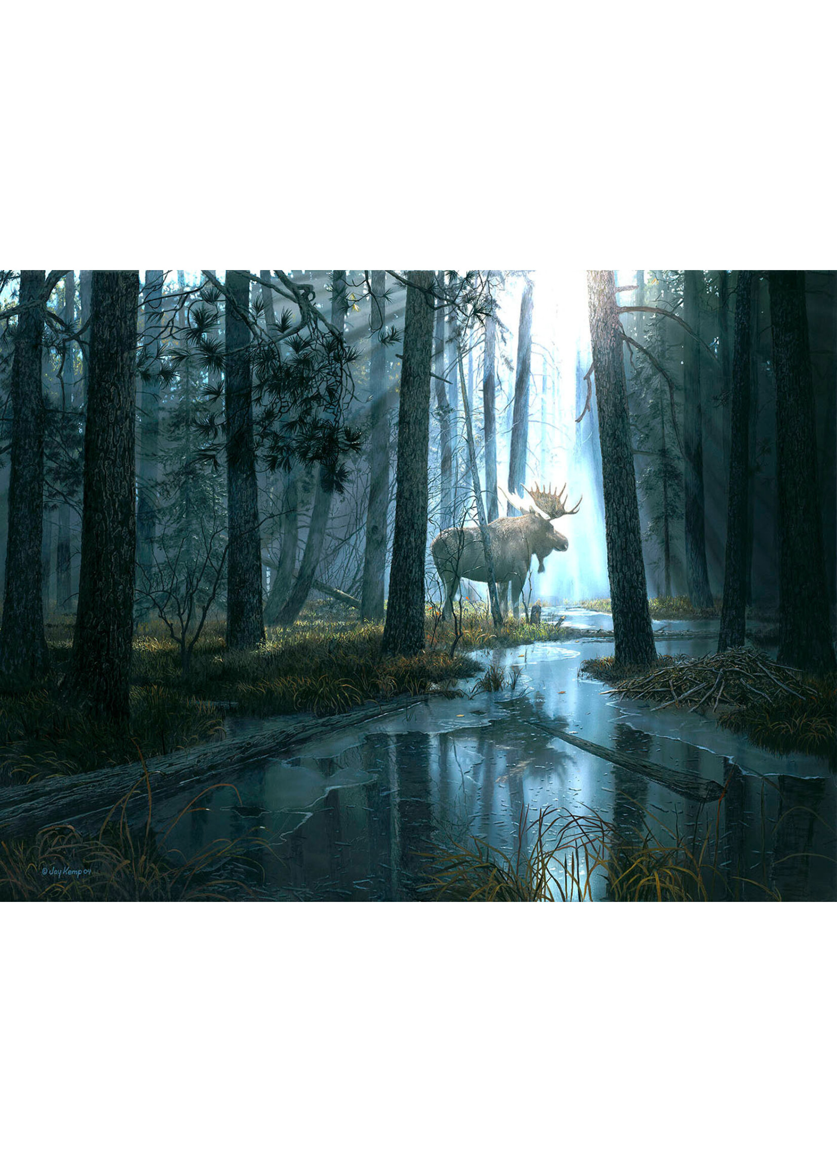 Sunsout SUN17602 Caught by the Light (Puzzle300)