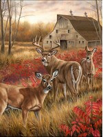 Sunsout SUN30913 Among the Shadows (Puzzle1000)