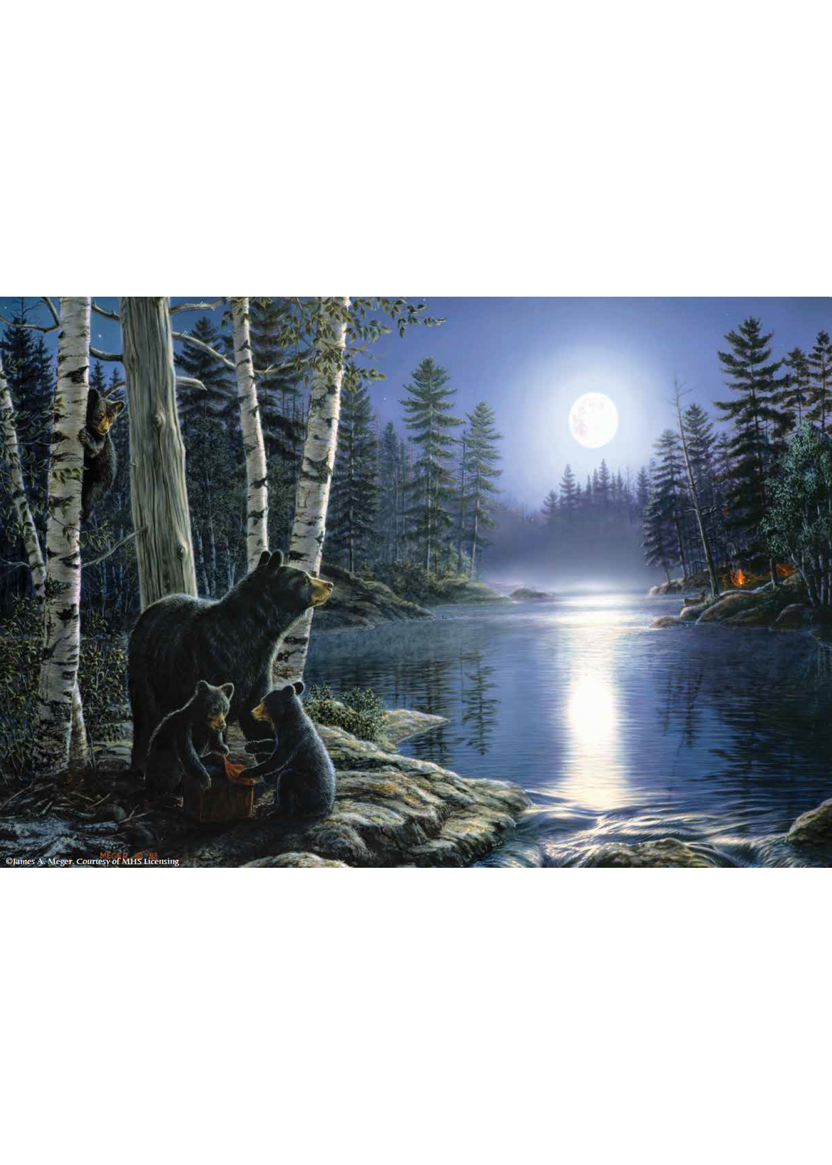 Sunsout SUN28433 Bear Necessities (Puzzle1000)