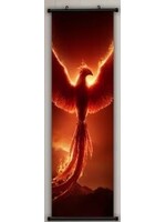 Hanging Wall Banner 15x47 Inch Phoenix 1