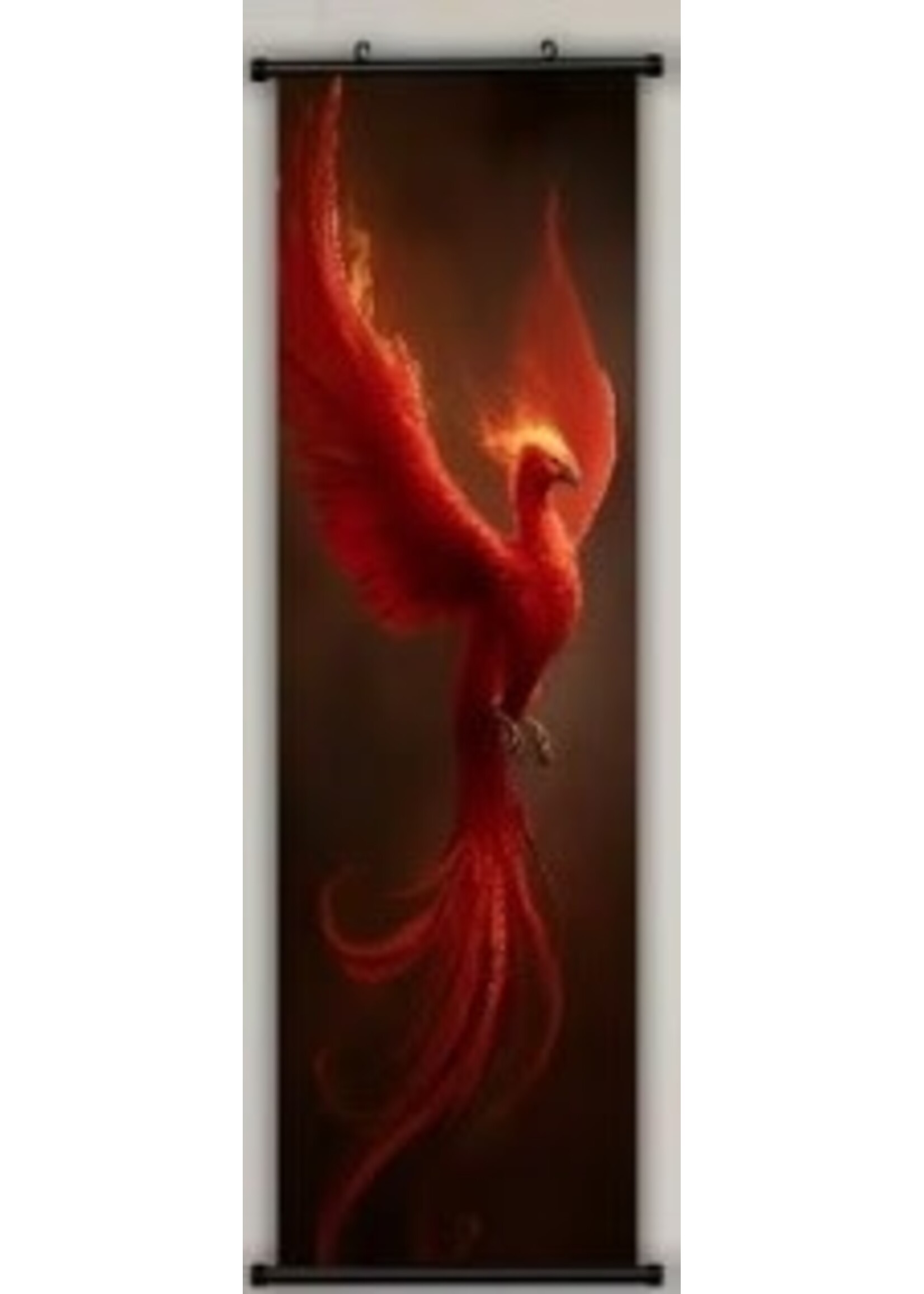 Hanging Wall Banner 15x47 Inch Phoenix 2