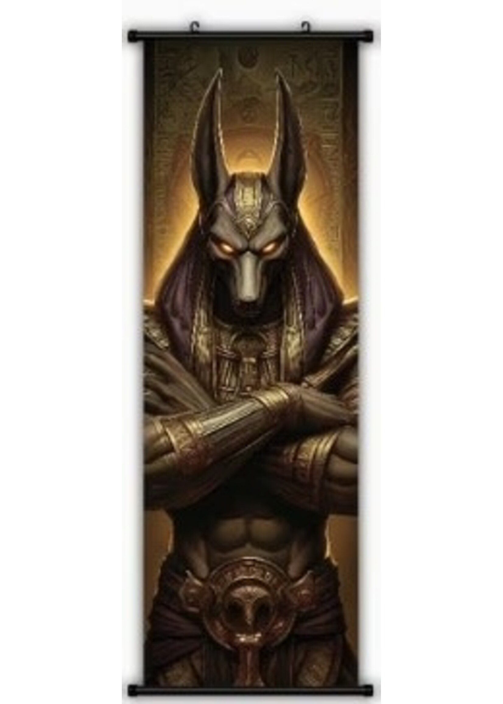 Hanging Wall Banner 15x47 Inch Anubis 2