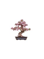 Rolife ROETG415 Sakura Bonsai 3D Wooden Puzzle