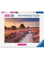 Ravensburger RAV12001763 Pink Pathway (Puzzle1000)