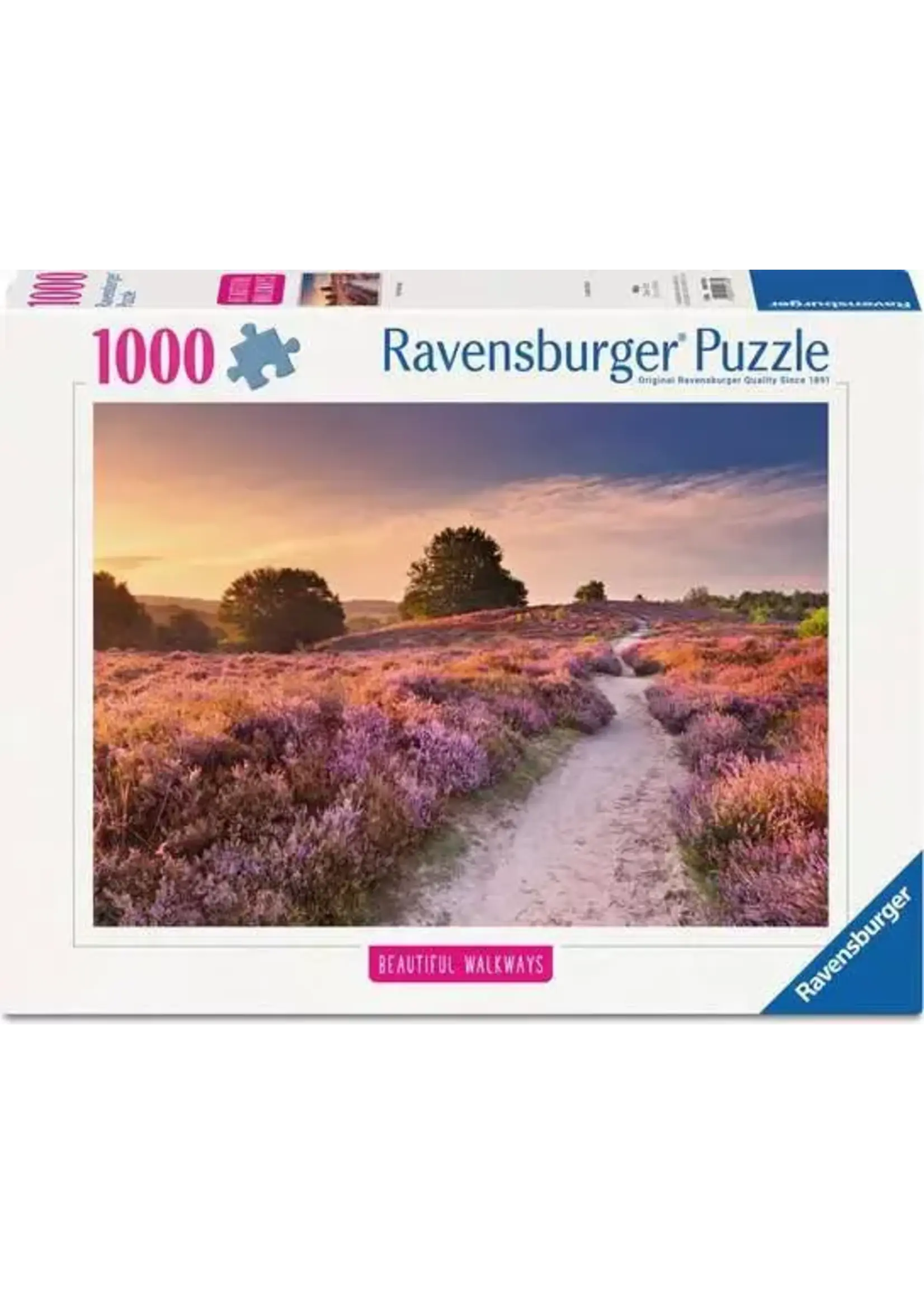 Ravensburger RAV12001763 Pink Pathway (Puzzle1000)