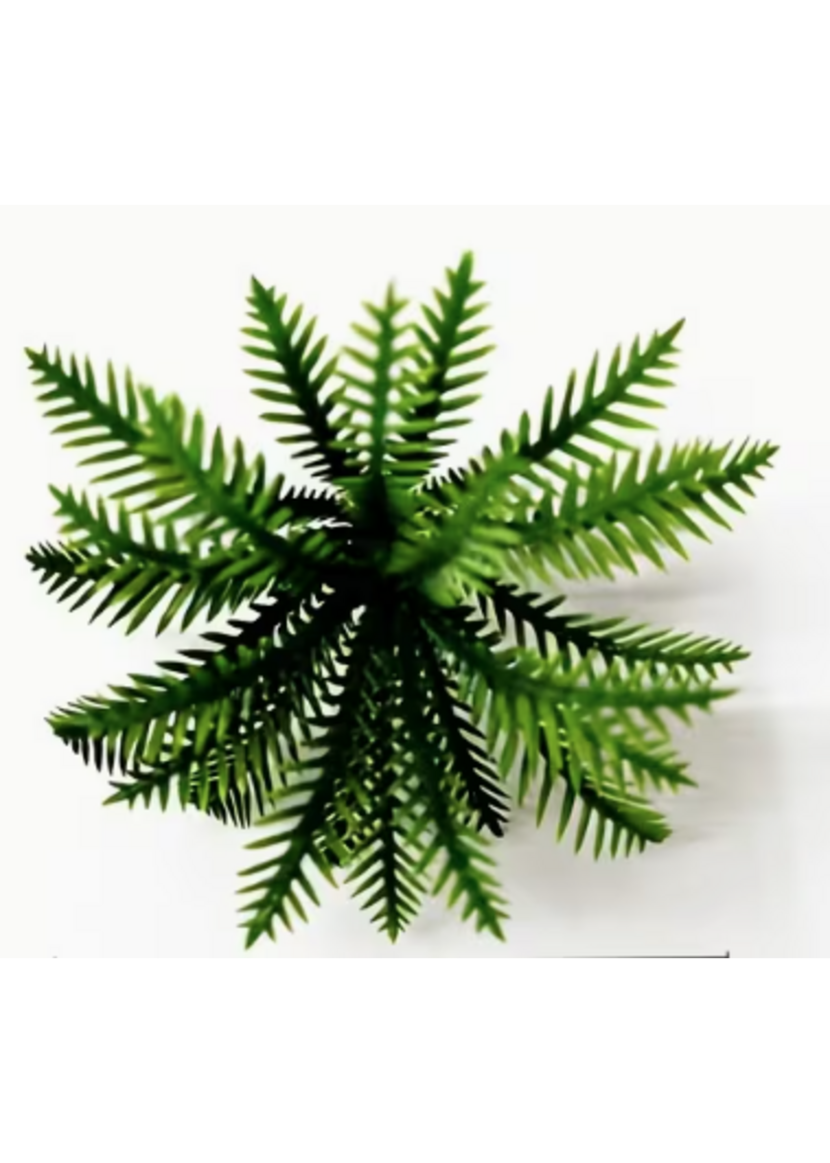 Artificial Palm Leaves