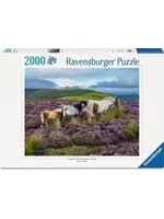 Ravensburger RAV12001751 Wild Horses in the Heather (Puzzle2000)