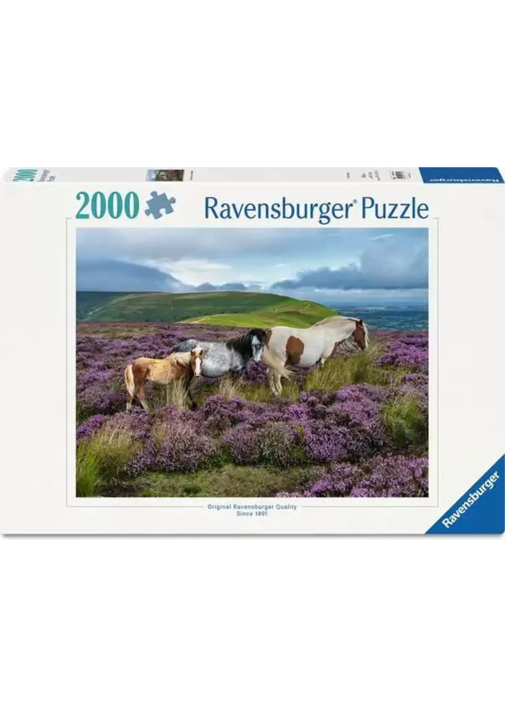Ravensburger RAV12001751 Wild Horses in the Heather (Puzzle2000)
