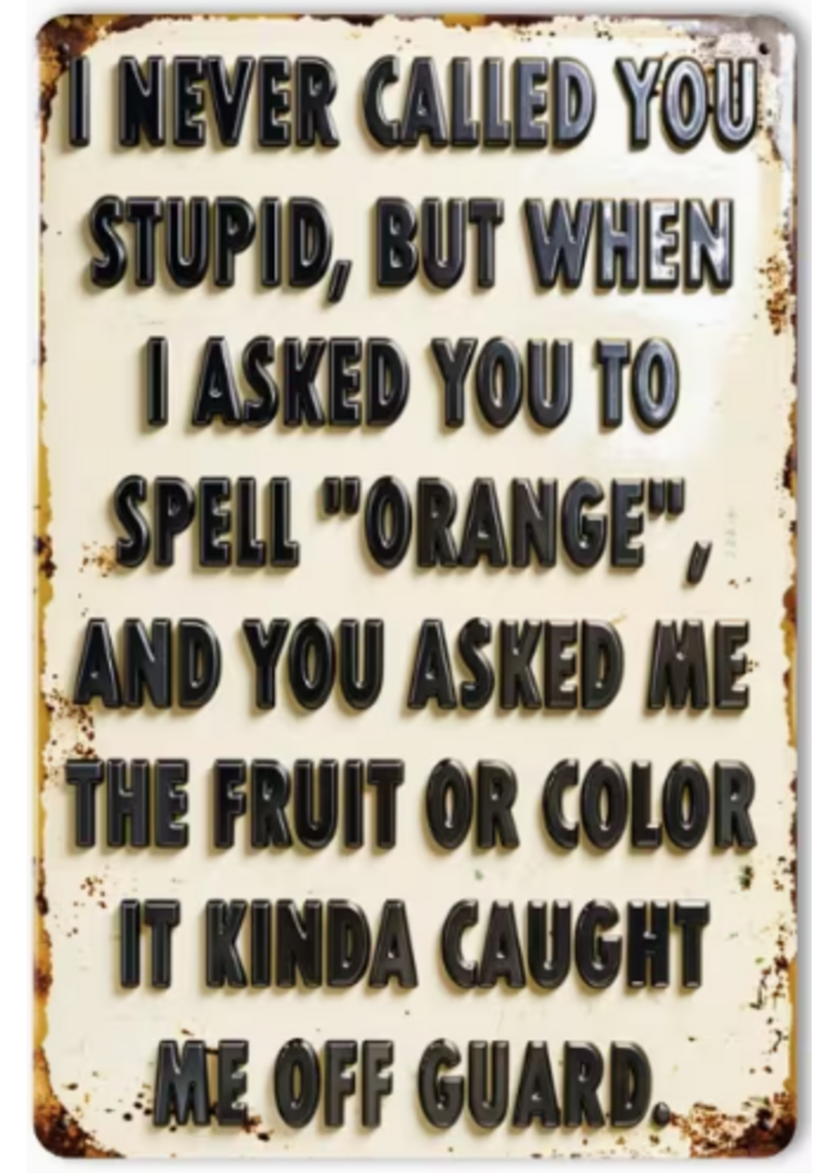 Metal Wall Sign 8x12 Inch I Never Called You Stupid