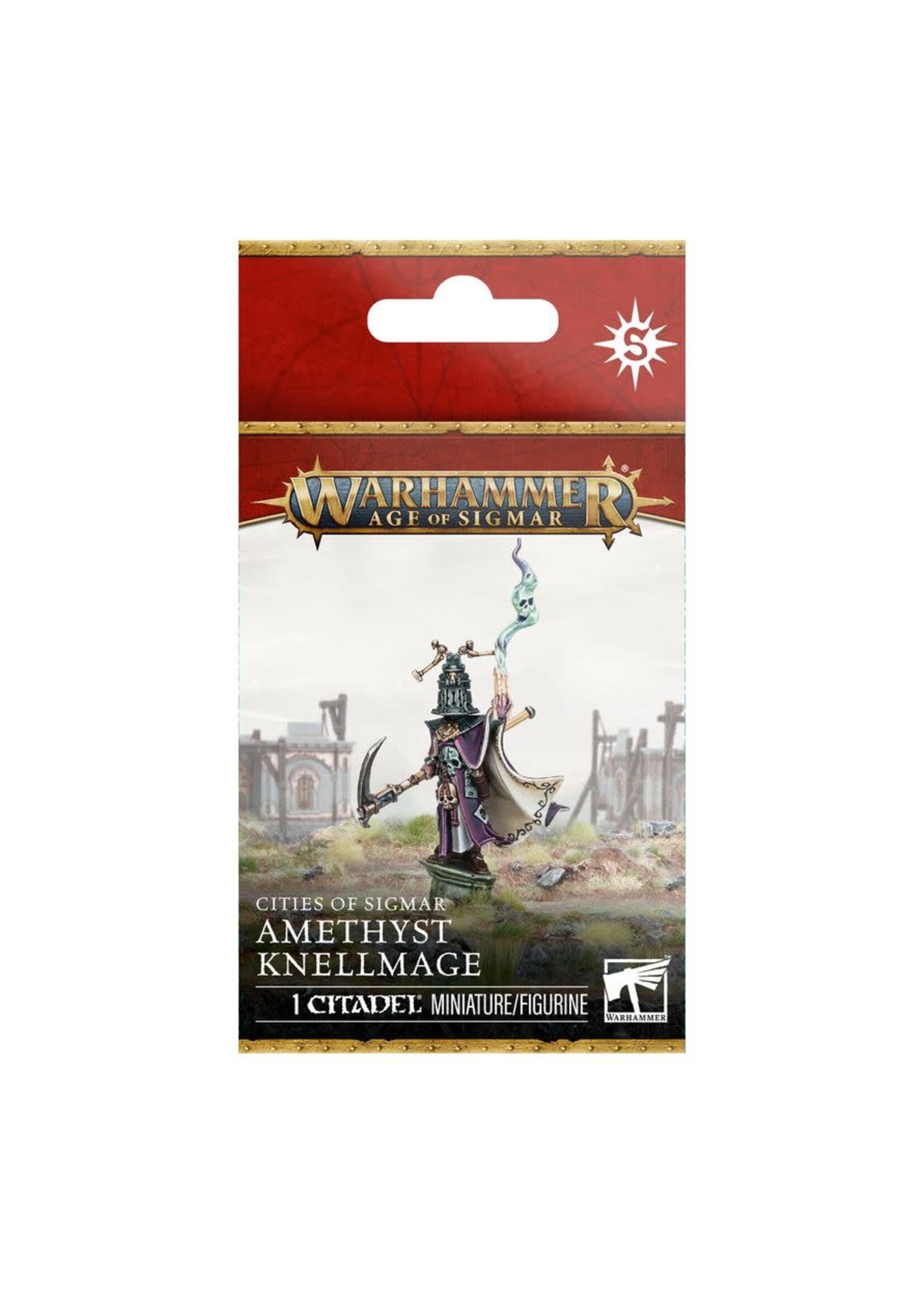 AoS Cities of Sigmar Amethyst Knellmage