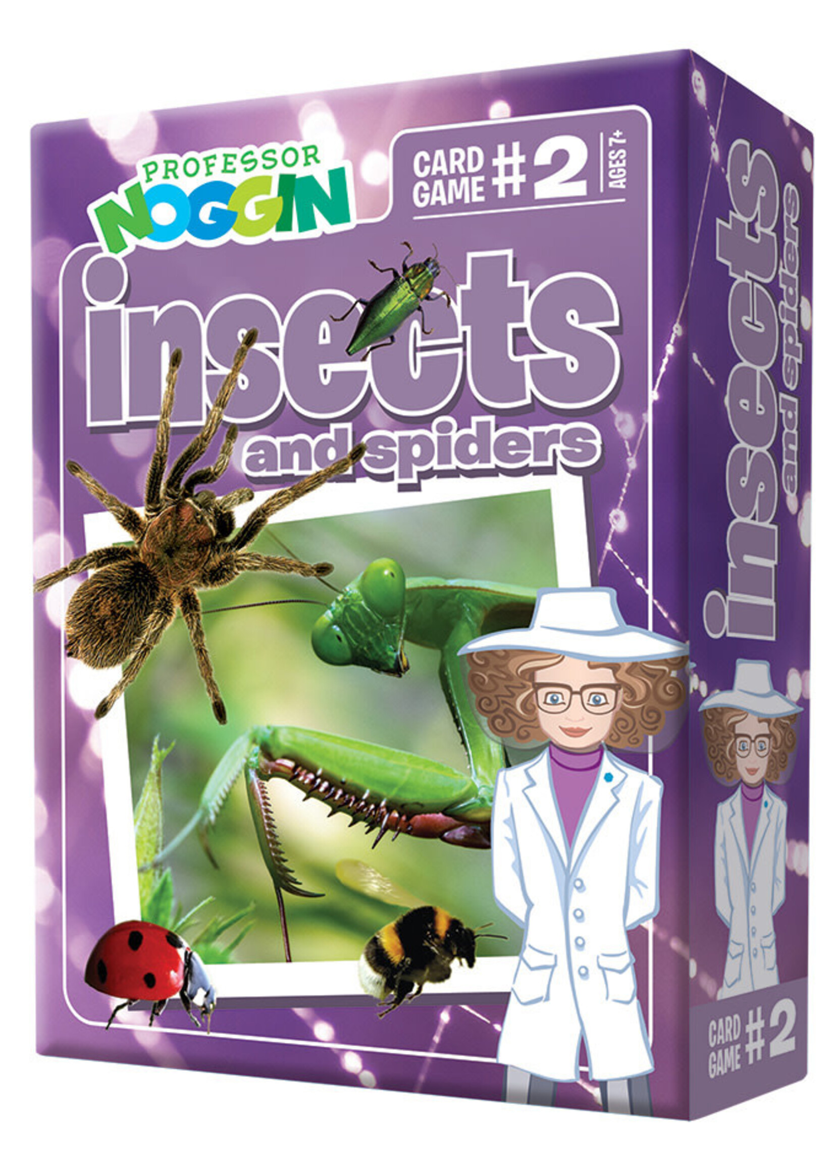 Prof. Noggin Insects and Spiders