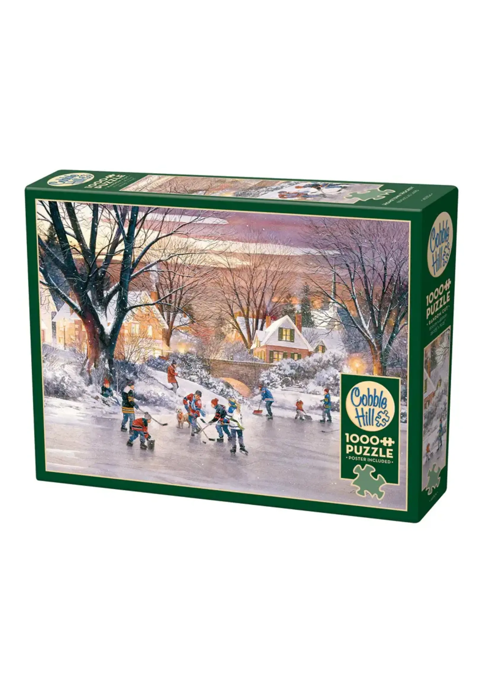 Cobble Hill CH40304 Hometown Hockey (Puzzle1000)