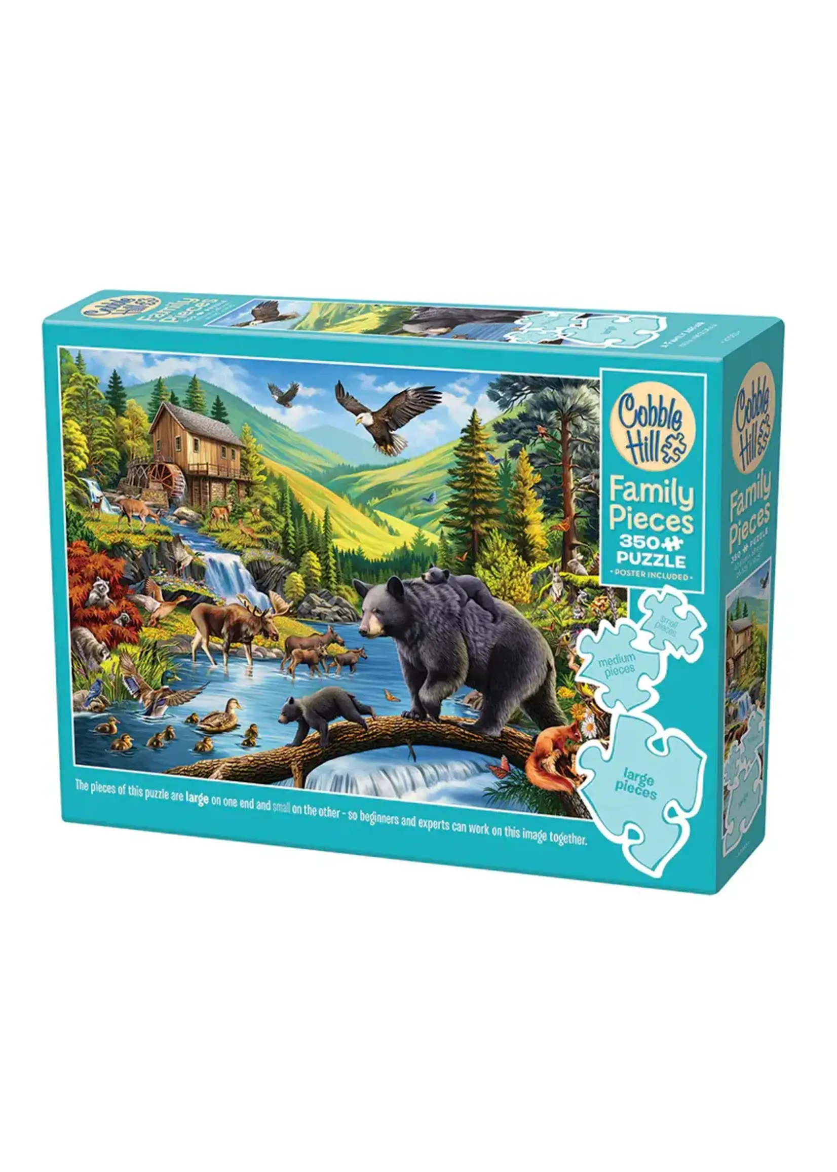 Cobble Hill CH47053 A Family Affair (Puzzle350)