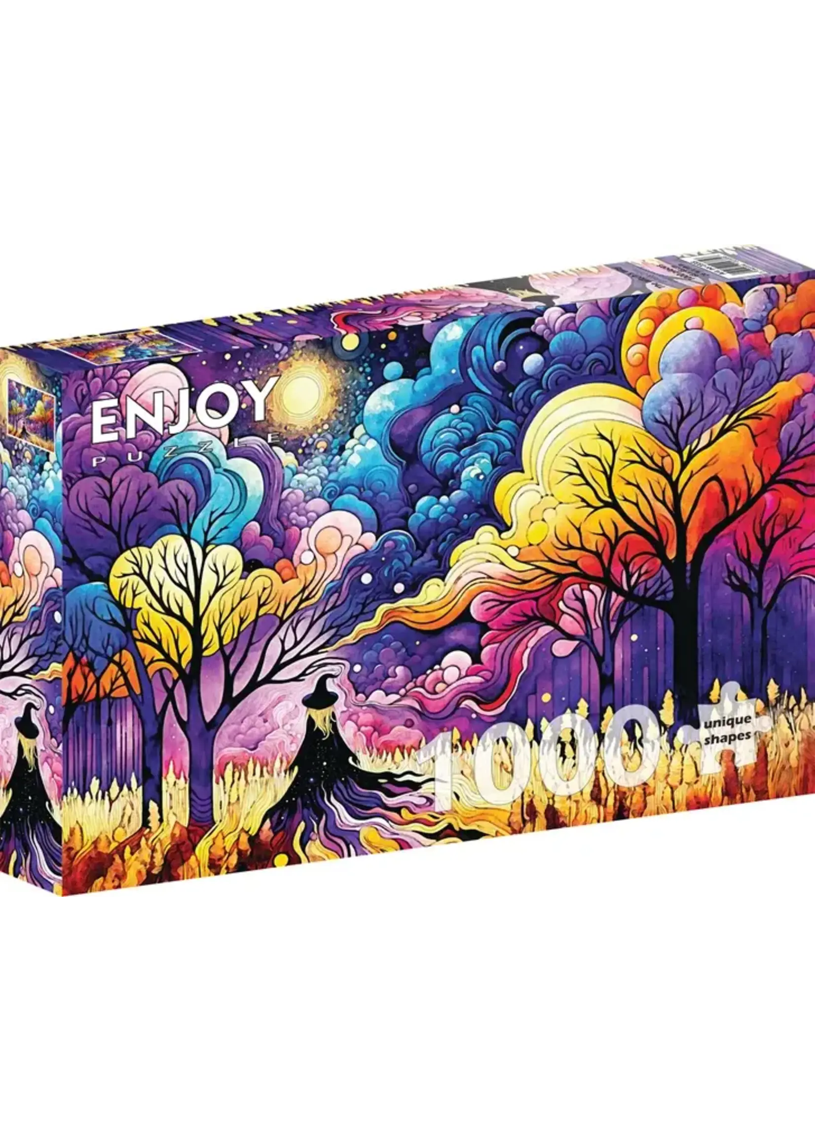 Enjoy Puzzle E2335 The Witchs Way (Puzzle1000)