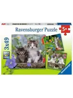 Ravensburger RAV08046 Cuddly Kittens (Puzzle3x49)
