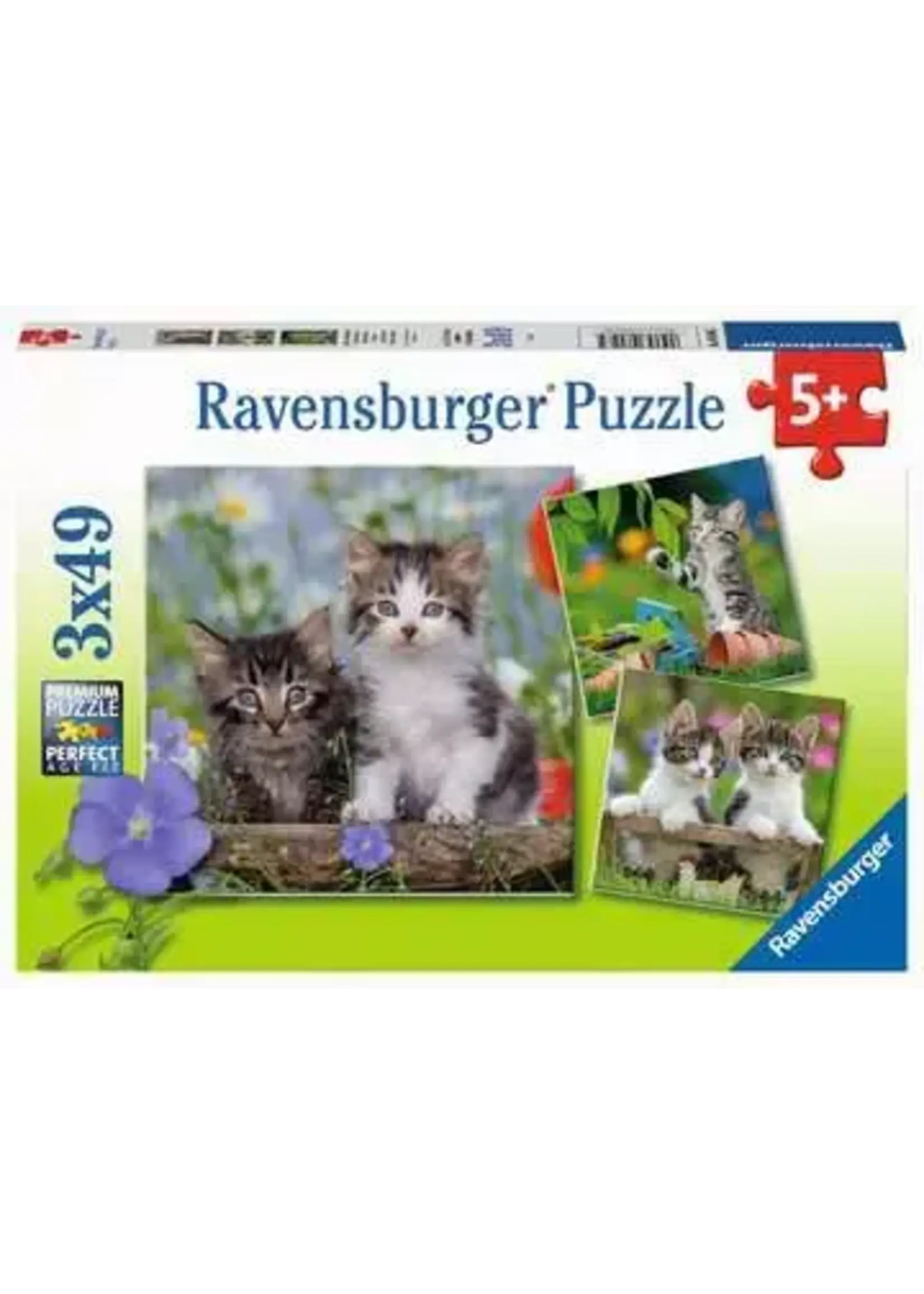 Ravensburger RAV08046 Cuddly Kittens (Puzzle3x49)