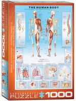 Eurographics EUR60001000 The Human Body (Puzzle1000)