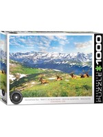 Eurographics EUR60005705 Mountain Elks Colorado USA (Puzzle1000)