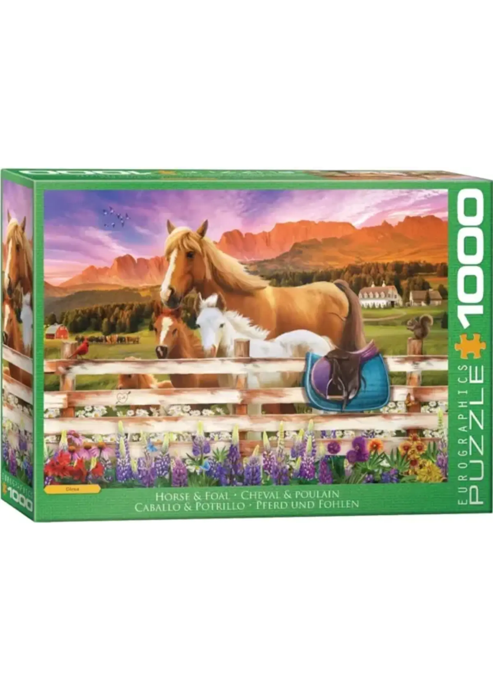 Eurographics EUR60006108 Horse & Foal (Puzzle1000)