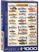 Eurographics EUR60000311 Salmon & Trout (Puzzle1000)