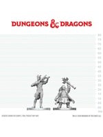 WizKids WK90885 DND WV29 Tiefling Bard & Dwarf Cleric  WV29