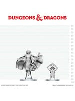 WizKids WK90889 DND Gnome Warlock & Aasimar Wizard WV29