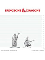 WizKids WK90890 DND Cultist Of Bhaal & Cultist Of Myrkul WV29