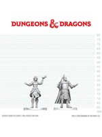 WizKids WK90904 DND Unpainted Minis WV29 Knight & Mage Apprentice