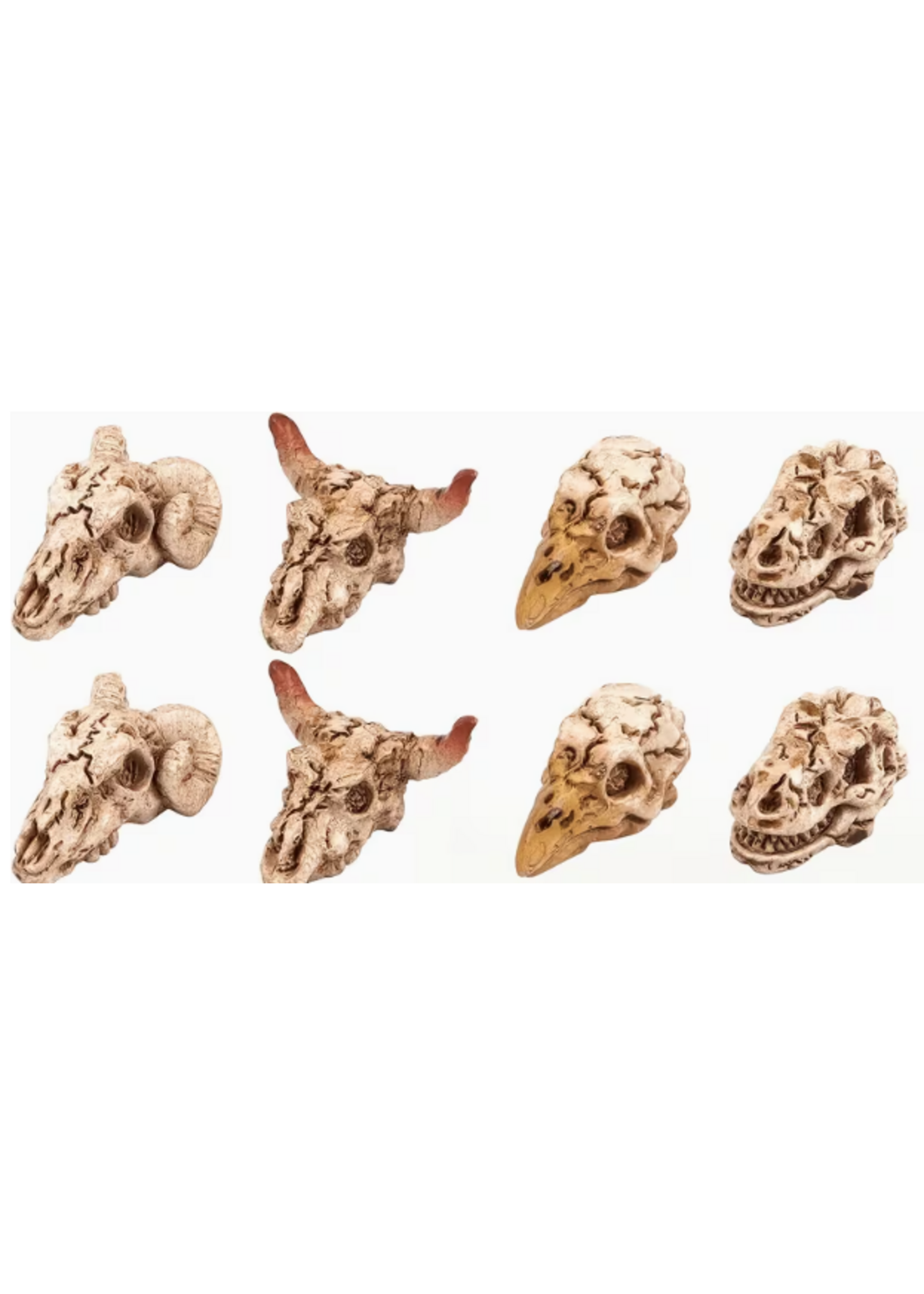 Animal Skulls (12pc)