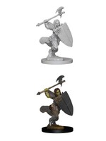 WizKids WK72614 Half-Orc Female Barbarian PF WV1