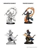 WizKids WK73201 DND Tiefling Male Sorcerer WV4