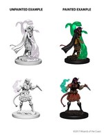 WizKids WK73202 DND Tiefling Female Sorcerer WV4