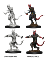 WizKids WK73338 DND Tiefling Male Rogue WV5