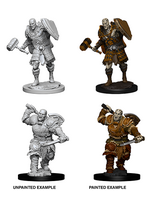 WizKids WK73541 DND Goliath Male Fighter WV7