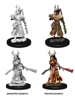 WizKids WK73701 DND Human Female Druid WV9