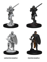 WizKids WK73705 DND Human Female Fighter WV9
