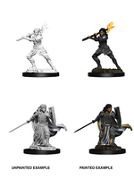 WizKids WK73830 DND Human Female Paladin WV10