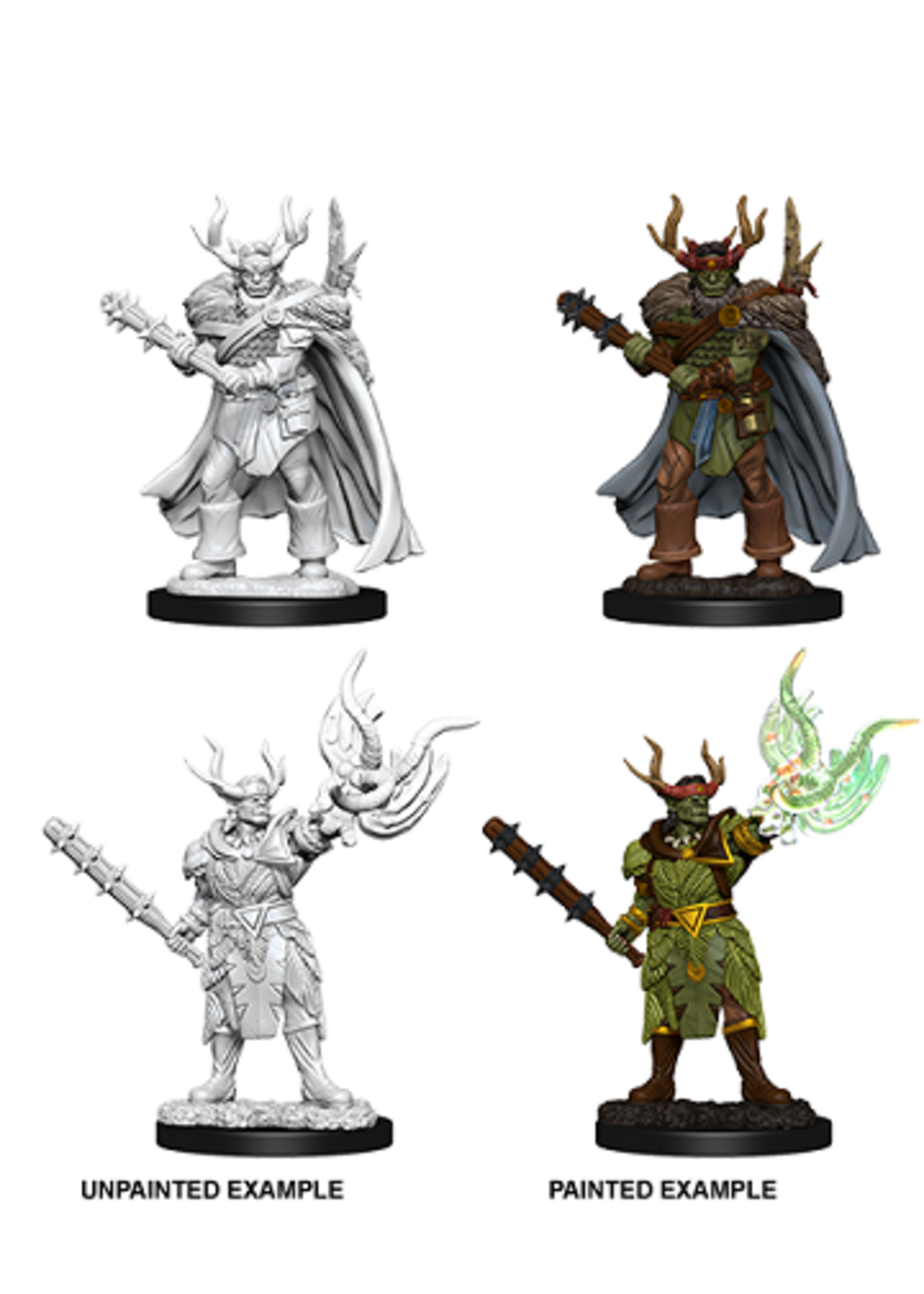 WizKids WK73853 PF Half-Orc Druid WV10