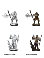 WizKids WK90013 DND Firbolg Male Druid WV11