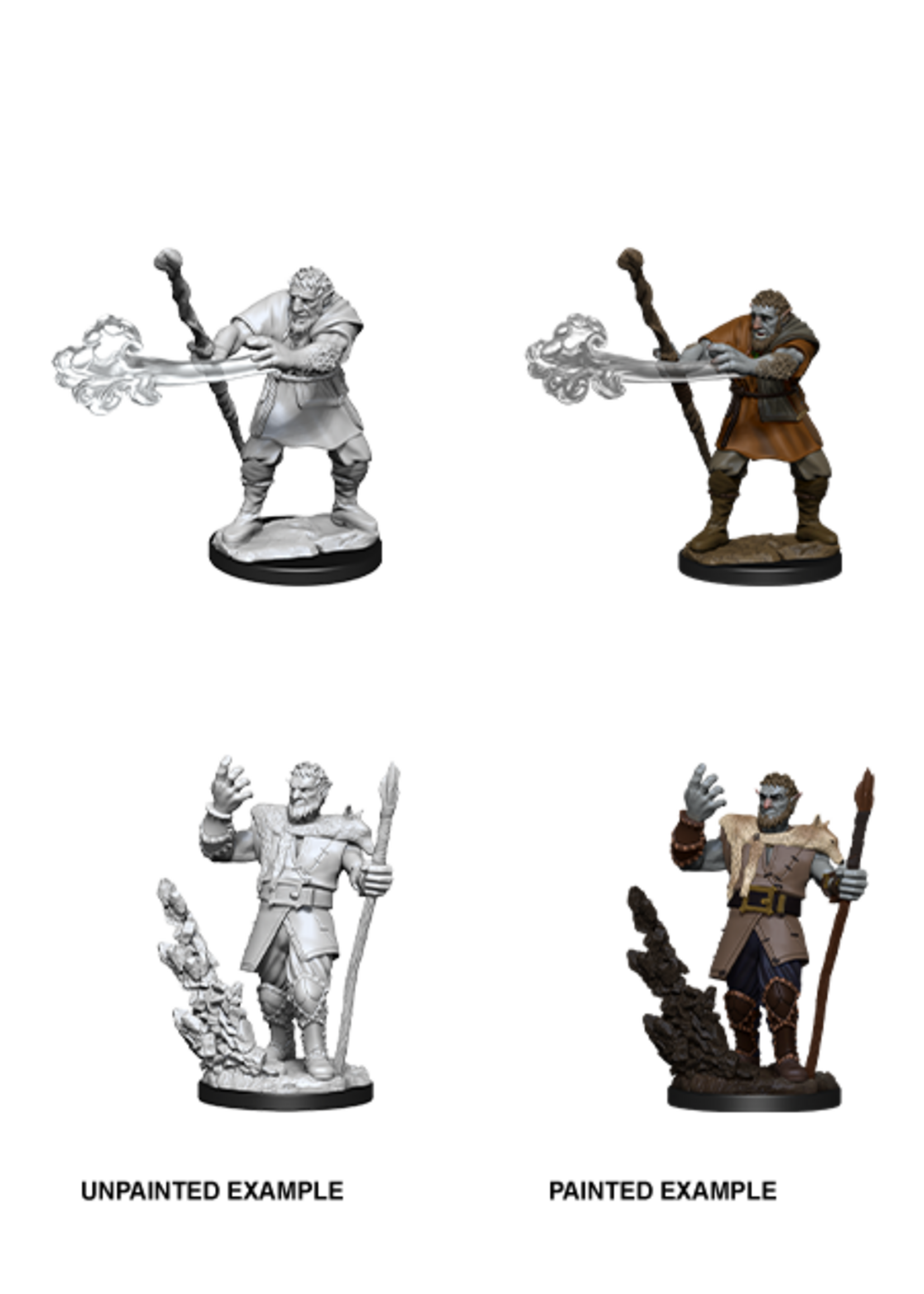WizKids WK90013 DND Firbolg Male Druid WV11