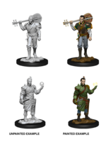 WizKids WK90055 DND Half-Elf Male Bard WV12