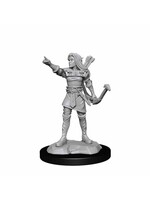WizKids WK90143 DND Elf Female Ranger WV13