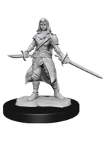 WizKids WK90228 DND Half-Elf Female Rogue WV14
