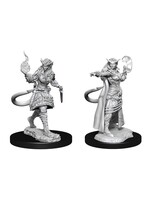 WizKids WK90304 DND Tiefling Female Sorcerer WV15