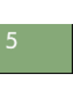 20-265 Pro Tone Kasrkin Green - 5 (12ml)