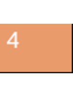 20-184 Pro Tone Ta'unar Ochre - 4 (12ml)