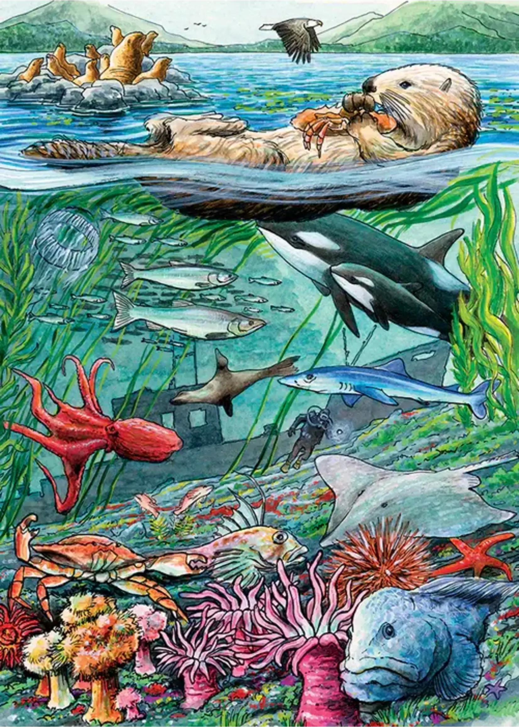 Cobble Hill CH58803 Life onthe Pacific Ocean (TrayPuzzle35)